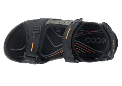 Ecco 06956450034