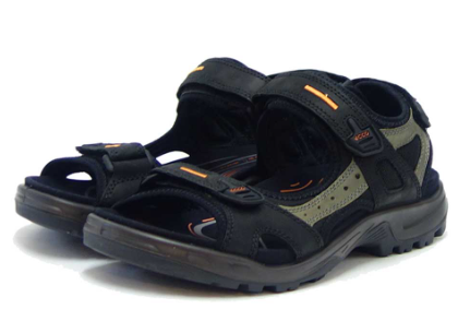 Ecco 06956450034