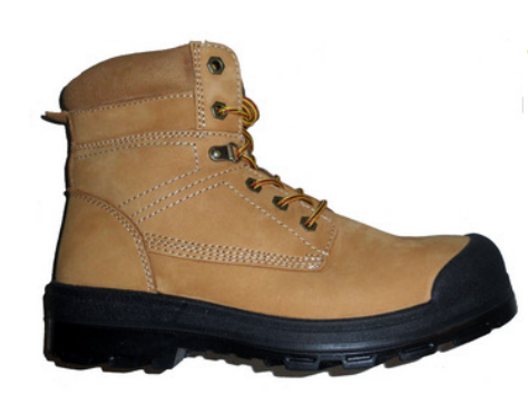 Phoenix Gilles 6" Tan PH601