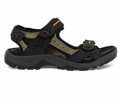 Ecco 06956450034